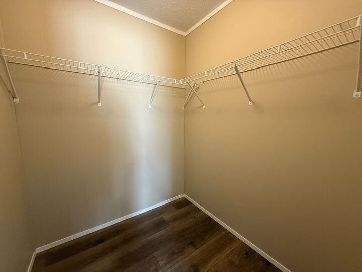 Building Photo - 11986 Springbrook Ct