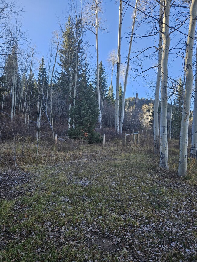 Building Photo - 2006 WY-352