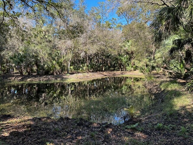 Building Photo - 4502 Wild Turkey Trail