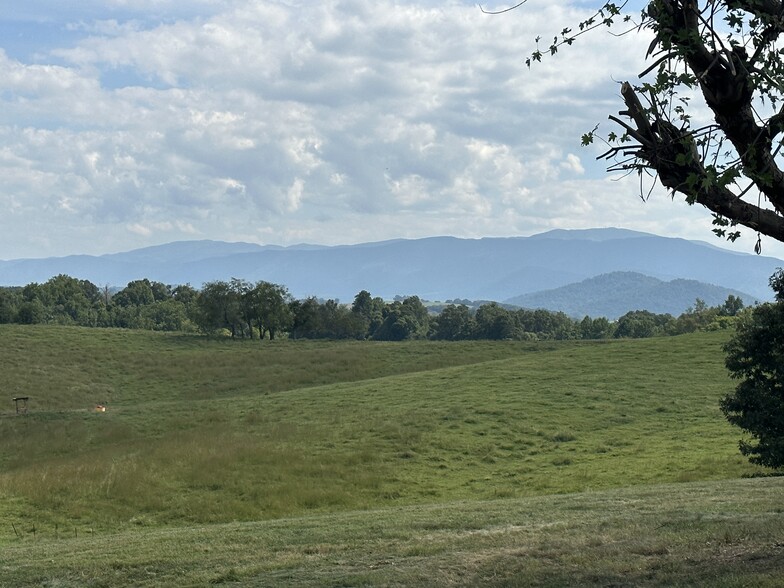 View from front porch - 3655 W Allens Bridge Rd