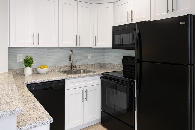 Building Photo - 4670 NE 5th Ave