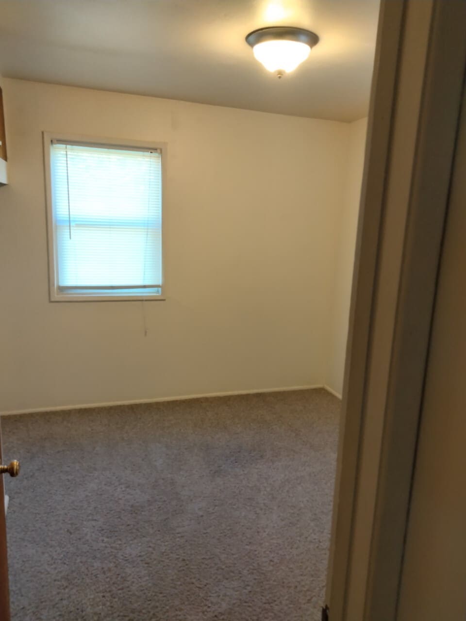 bedroom #2--downstairs - 415 S 5th Ave