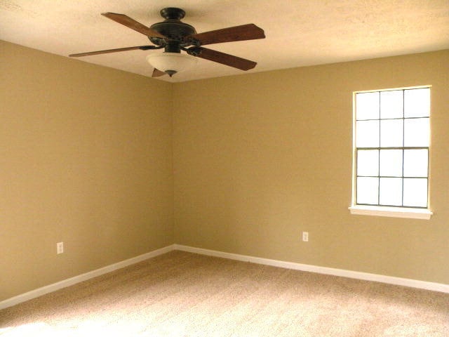 Building Photo - 4443 Shadowood Dr