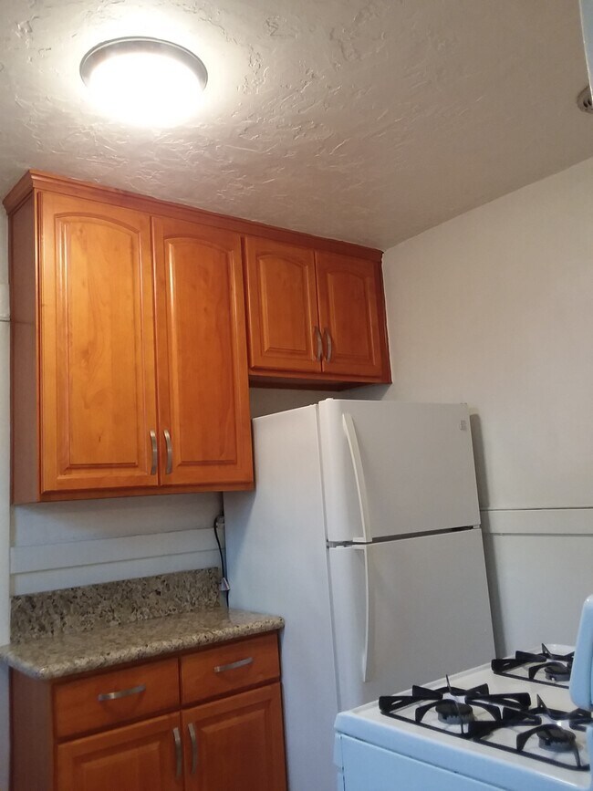 Refrigerator - 616 W 40th Pl