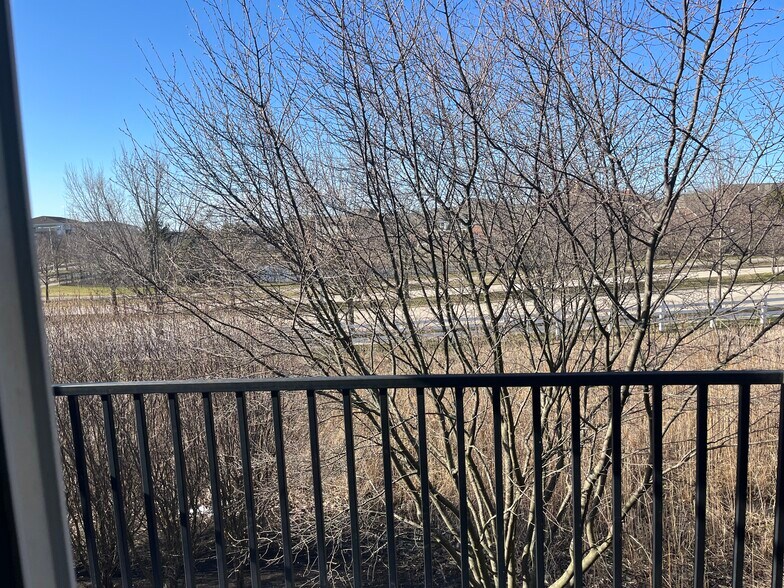 View from balcony - 1004 Enfield Dr