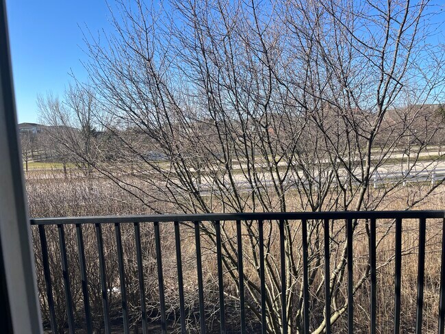 View from balcony - 1004 Enfield Dr