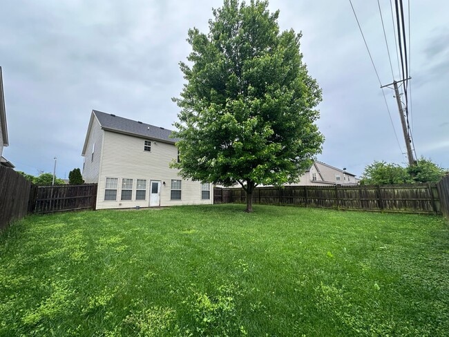 Building Photo - COMING SOON! Beautiful, Spacious 3 BR Home...