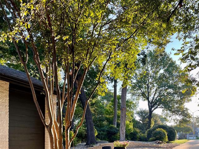 Building Photo - 1223 N Tyler St