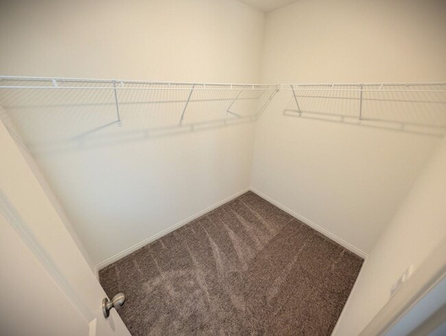 Building Photo - 10031 Indy Rey Ct