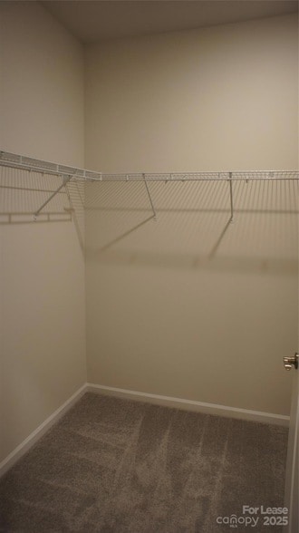 Building Photo - 107 Pampas Pl