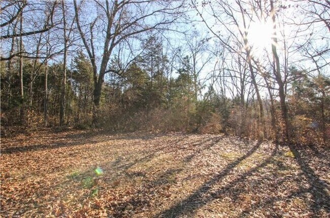 Building Photo - 350 Ladybird Dr