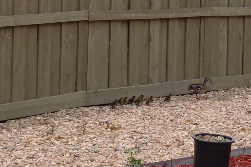 Building Photo - 5953 Twin Wash Square