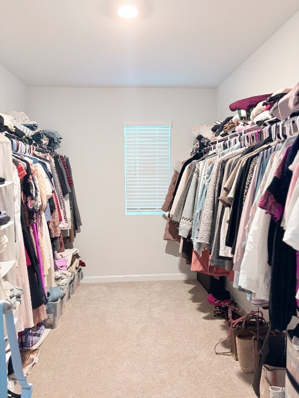 Building Photo - 1142 Button Buck Ln