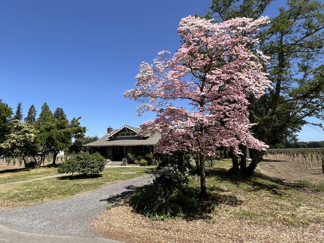 Building Photo - 1851 Magnolia Dr