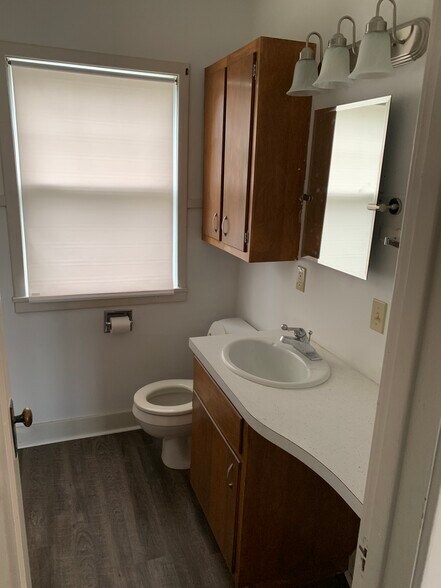 Downstairs Bath - 106 N 1st Avenue