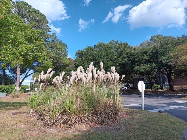 Building Photo - Fully Furnished James Island Condo