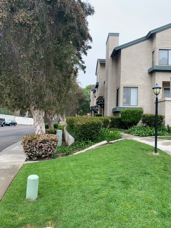 Building Photo - 10021 Paseo Montril