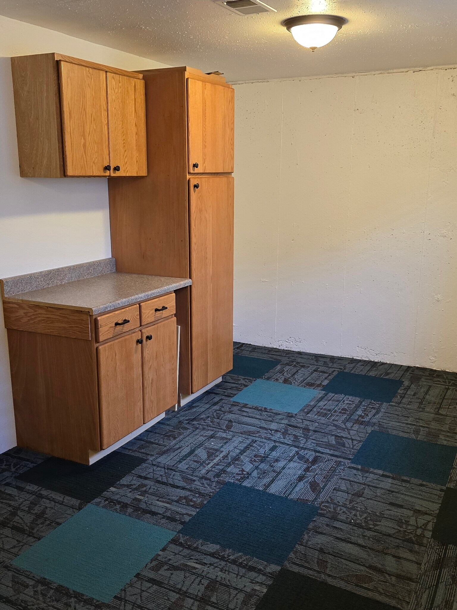 Basement storage cabinets - 12103 Viewpoint Dr