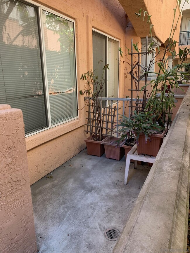 Building Photo - 640 Camino De La Reina