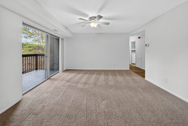 Building Photo - The Forest Apartments