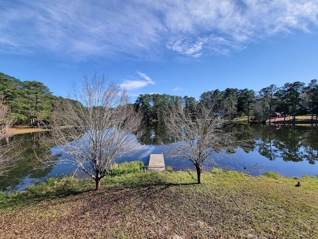 Building Photo - Escape to your updated 3-bed, 2-bath oasis in Goodrich, TX, featuring modern finishes, an open la...