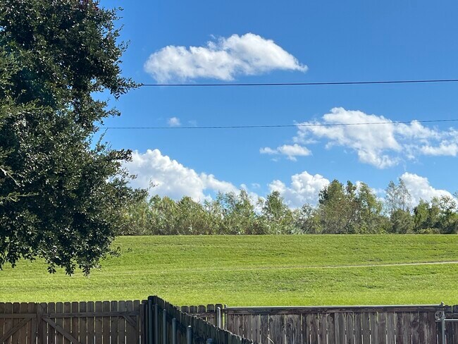 View from back yard - 6216 Roddie St