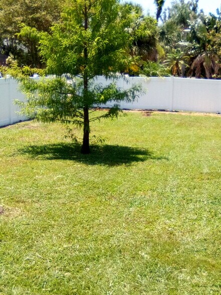 Front yard (fenced) - 3605 Iroquois Ave