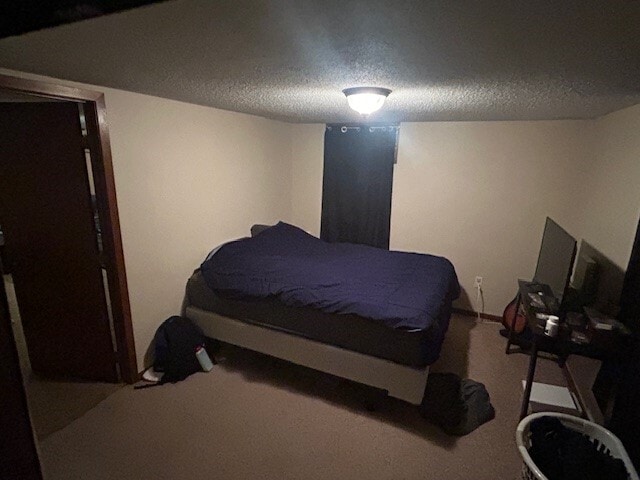 Nonegress room downstairs - 707 E 7th Ave