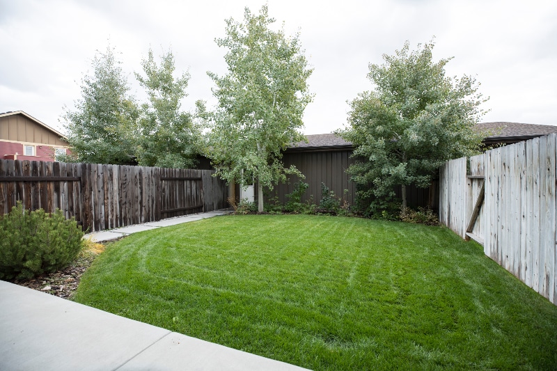 Building Photo - 4234 Cover St