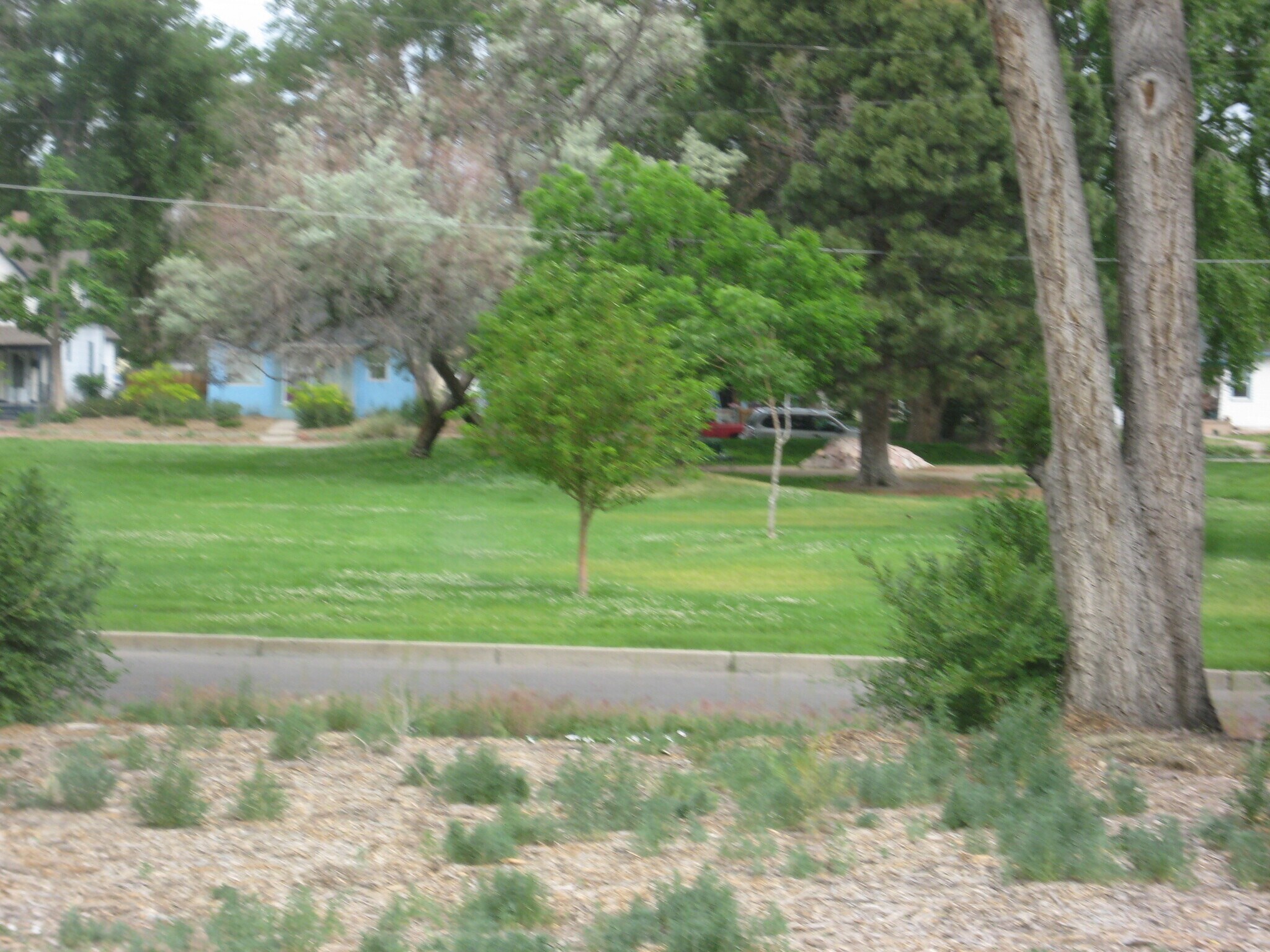 View of the park across the street - 121 Lamar Ave