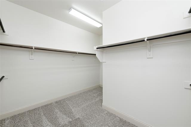 Building Photo - 15113 Mount Evans Dr