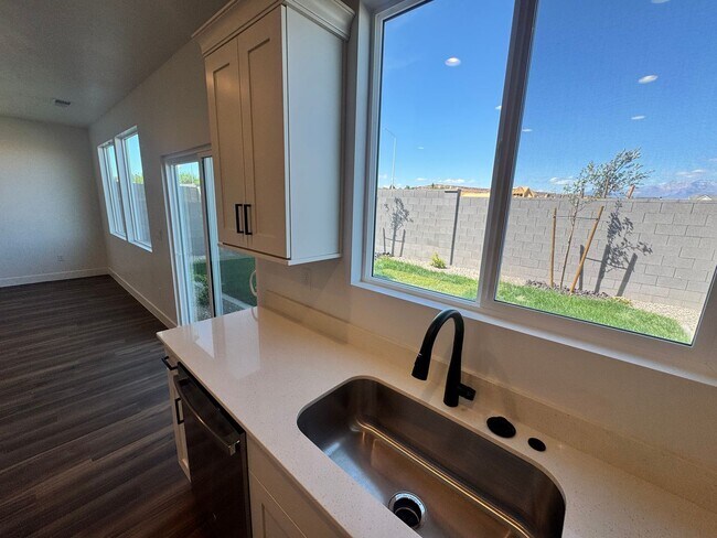 Building Photo - Brand New LARGE S&S Home!!