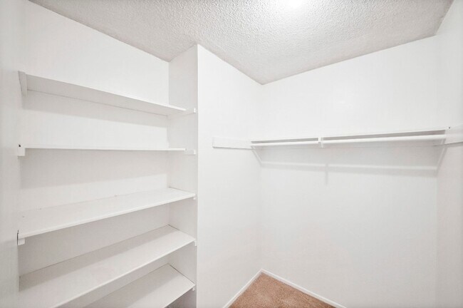 Building Photo - 2458 Normandie Ave