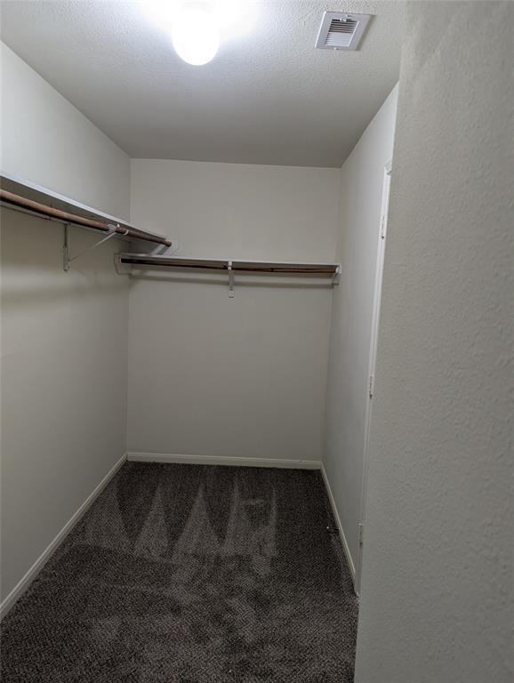 Building Photo - 3919 Hollow Cove Ln