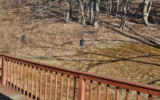 Building Photo - Student-friendly Split Level Home Located off Brown's Chapel Road