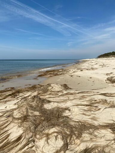 Building Photo - 2-32A Mason Ave