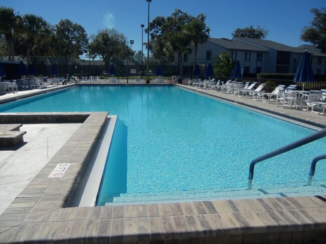 Building Photo - Pine Ridge at Lake Tarpon