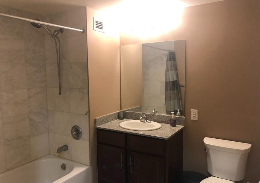 Bathroom - 110 Somerset St Unit 2109