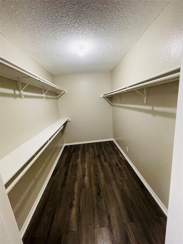 Building Photo - 2431 Deer Run