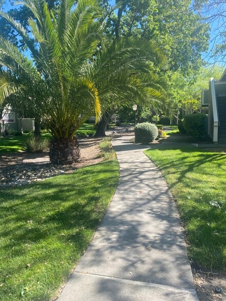 Building Photo - 184 W Agua Caliente Rd