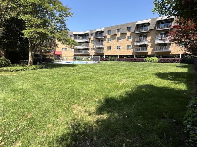 Building Photo - Updated 3 Bed Condo in Myers Park