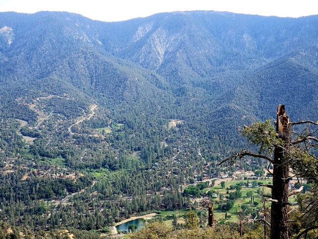 Building Photo - 15000 Geneva Ct