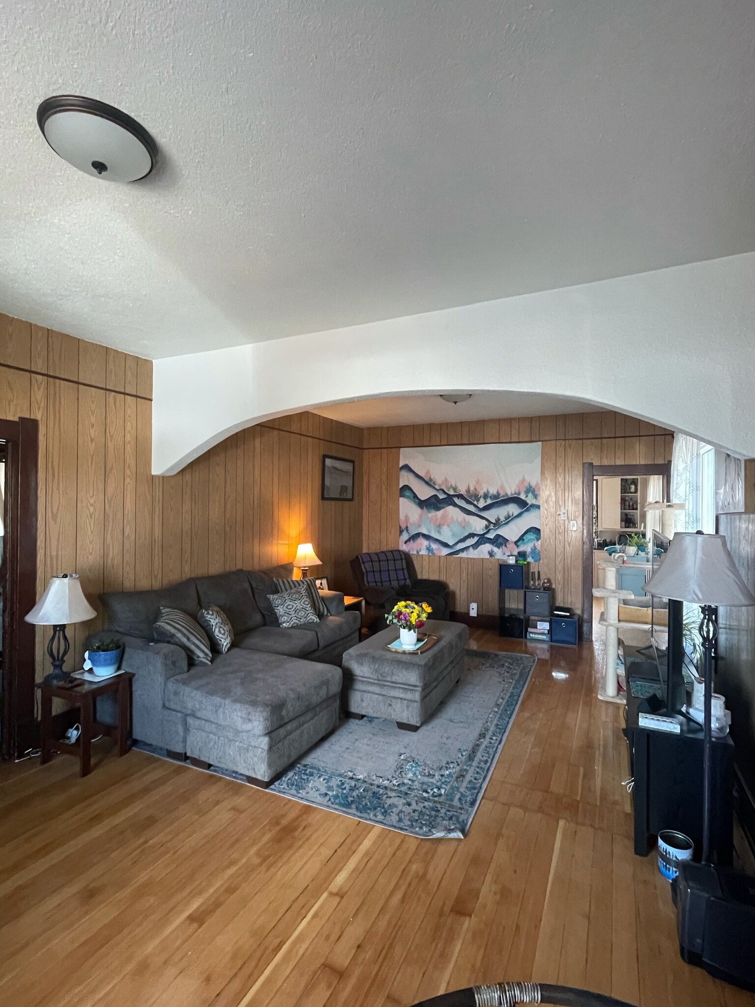 Living Room - 909 S 2nd St