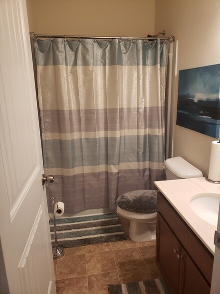 Upstairs Hallway Bathroom - 263 COOLWATER LN