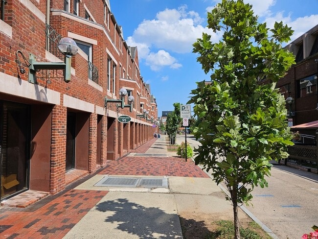 Primary Photo - 95 Audubon St