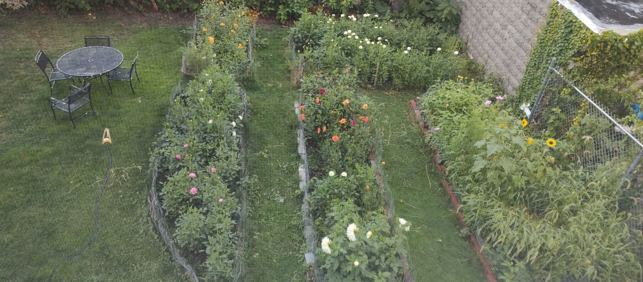 View of the garden from kitchen windows - 42 Holyoke Rd