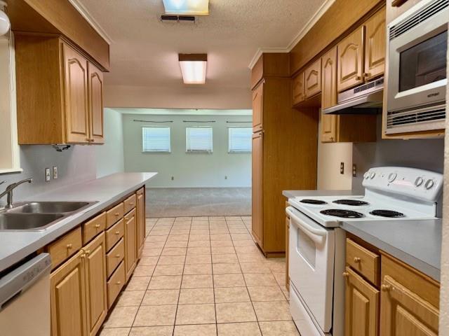 Building Photo - 3820 Sagebrush Rd