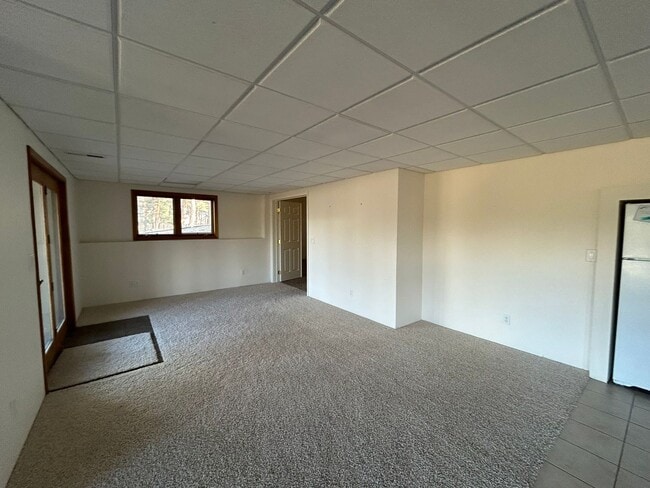Building Photo - Spacious Daylight Apartment in Hamilton