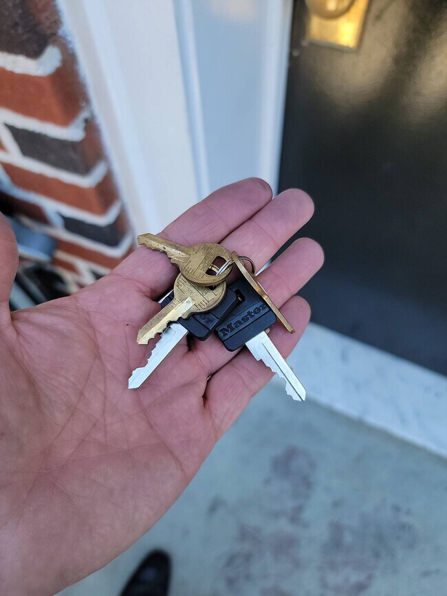 Building Photo - 534 New Lots Ave