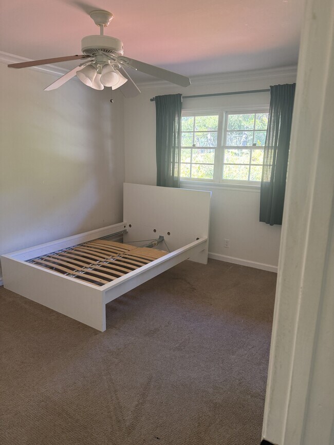 Building Photo - 217 Starlane Dr